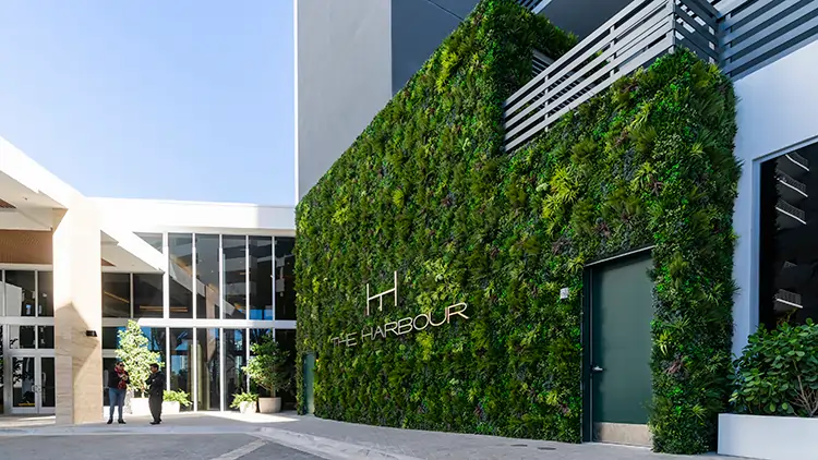 Commercial artificial living wall installation from SYNLawn