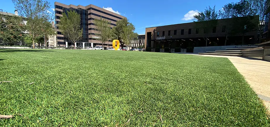 Close up of government building installed artificial grass from SYNLawn